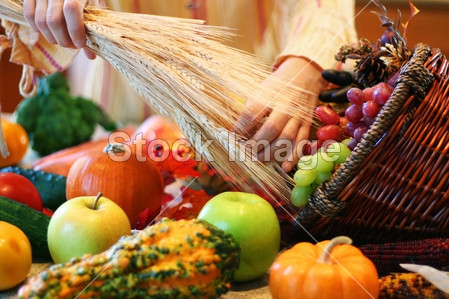 Zemědělství, Foto: ©Samphotostock.cz/beatabecla