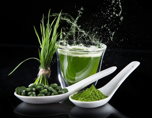 Mladý ječmen, chlorella, foto: Samphotostock/Kesu01